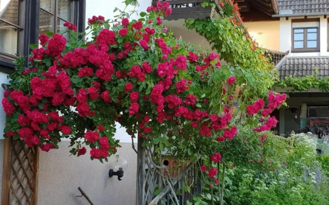 Ferienhof Lenzlisberg