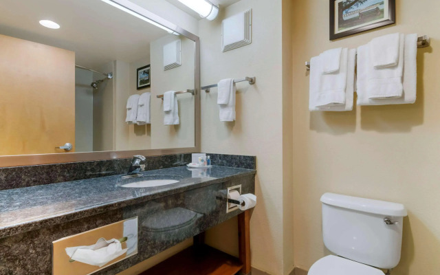 Comfort Inn Mechanicsburg - Harrisburg South