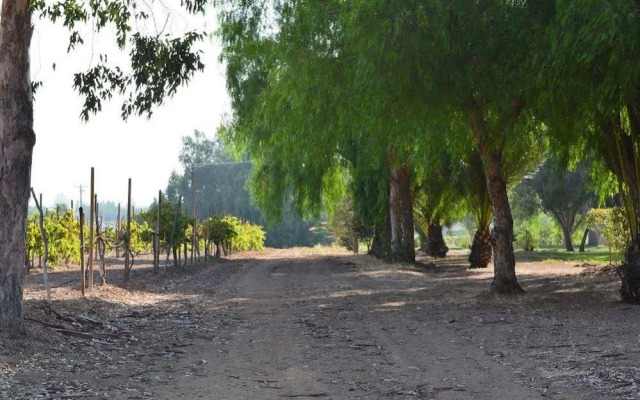 Rancho Toros Pintos
