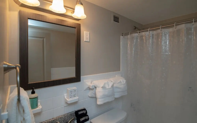 1 Bedroom Downtown Condo