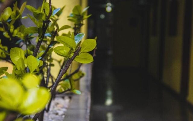 Hotel Santo Antoninho