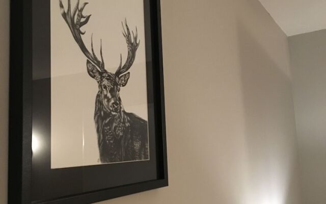 Chalet-Hotel Starlight