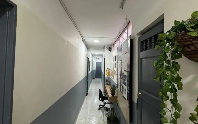 Gaia en Medellín