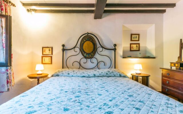 Bardeggiano - Caterina 5 (COL241)