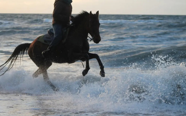 Farmhouse Near Baltic Sea Kuhlungsborn