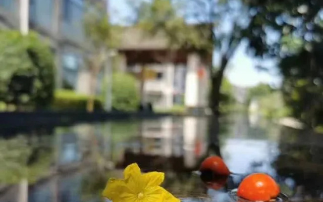 Qingcheng Garden Hotel - Dujiangyan