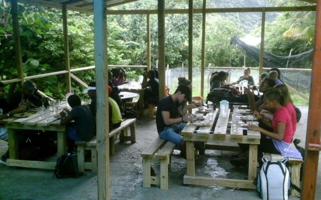 3 Rivers & Rosalie Forest Eco Lodge