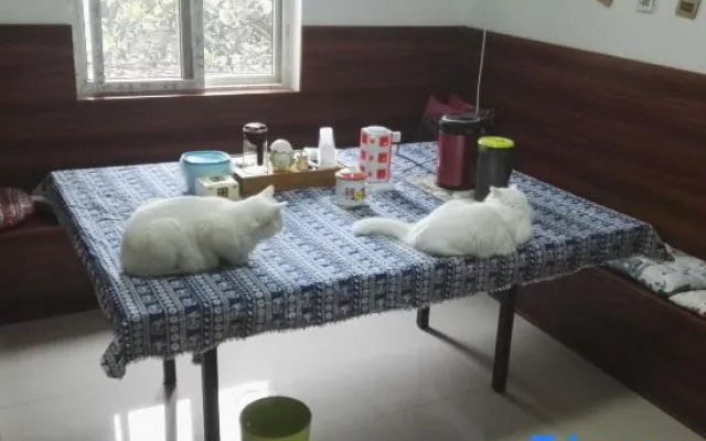 Yanwujia Youth Hostel