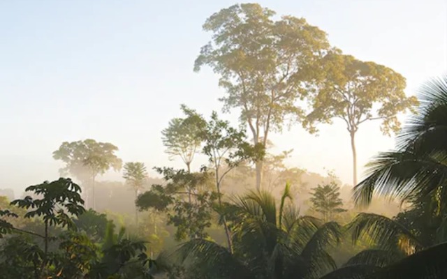 La Laguna del Lagarto Eco-Lodge