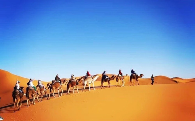 Trans Sahara