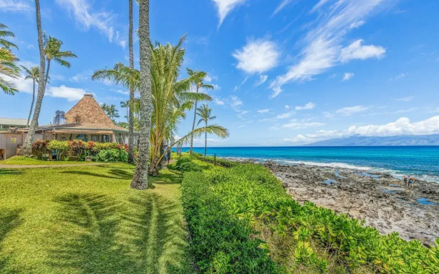 Napili Shores G258 Studio Condo Condo