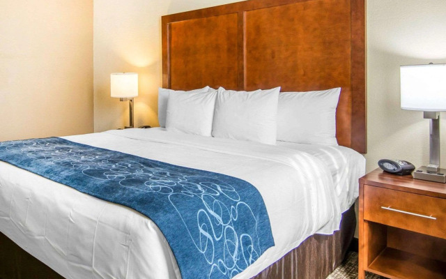 Comfort Suites Fredericksburg South