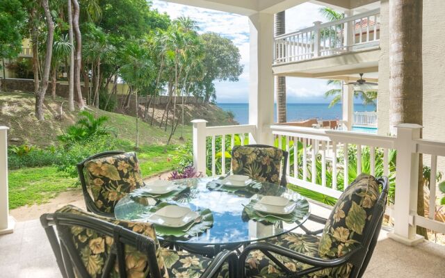 Lawson Rock - Parrotfish 106