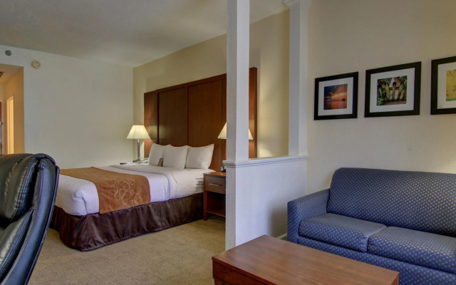 Comfort Suites Cumming-Atlanta near Northside Hospital Forsyth