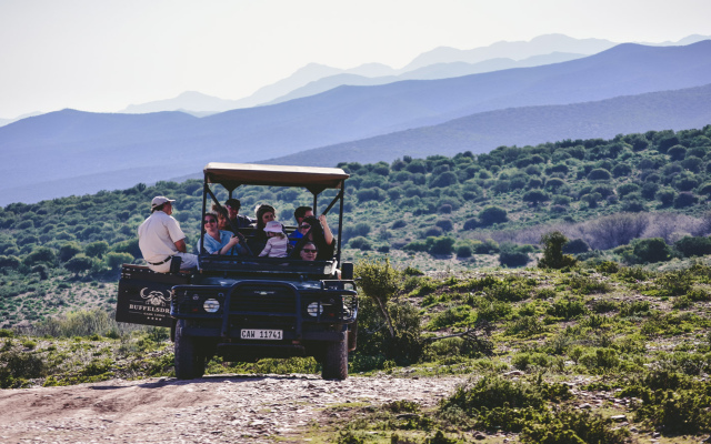 Buffelsdrift Game Lodge