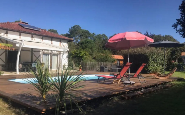 La résinière de pirique