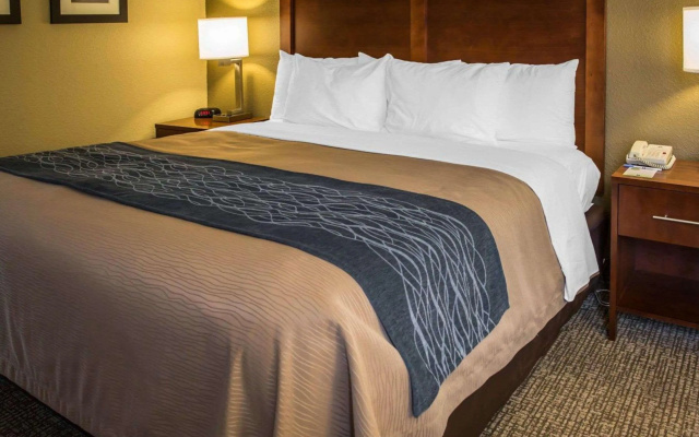 Comfort Inn Elizabeth City near University