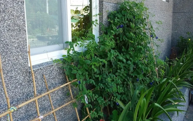 Sen Yun Zhuang Yuan Homestay