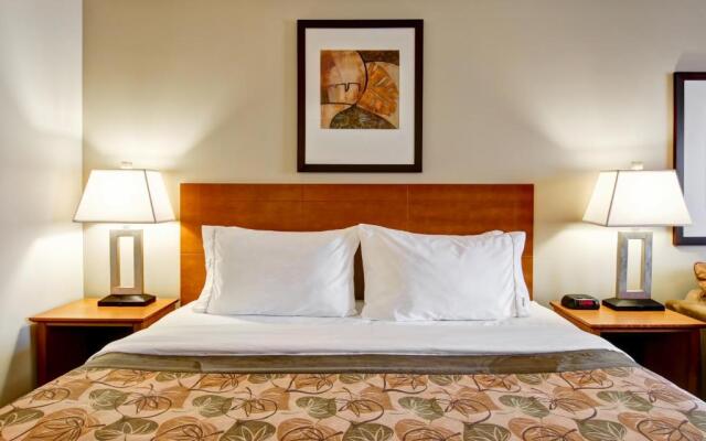 Canalta Jurassic – Drumheller