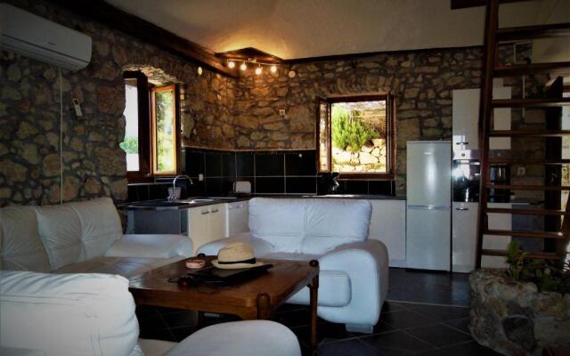 Apartment Damir
