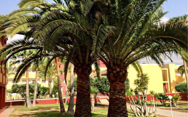 La Caleta - Parques Holandes