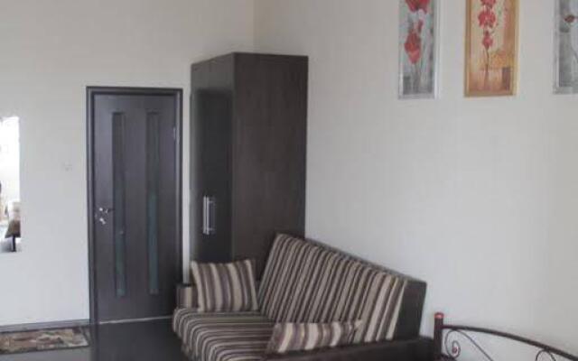 Solo Apartment Kamenskaya