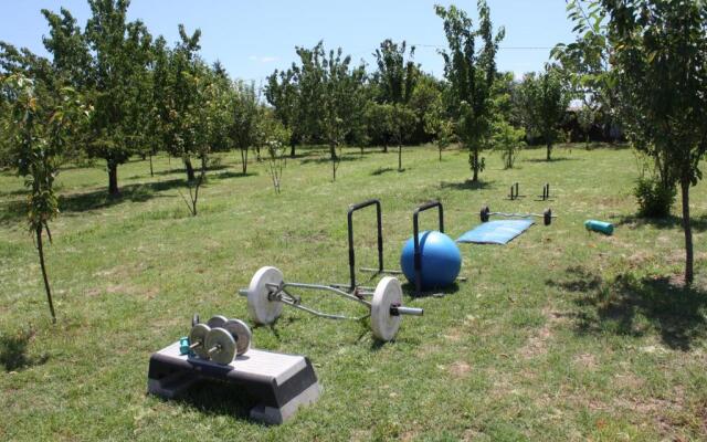 Tuscan Dream Casa Vacanze