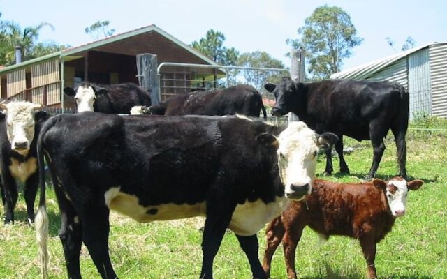 Rural Executive Holiday House @ Lavender Grove Farm