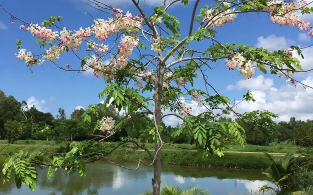 Sarocha Resort Rayong
