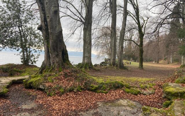 BORD DE LAC,2 chambres SUPERBE VUE LAC 5mn Evian