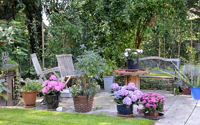 B & B Boezeneren