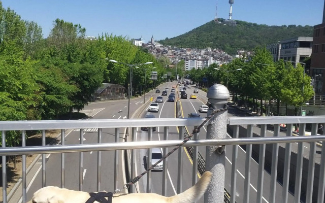 Newly renovated spacious 2 bedroom unit in HBC