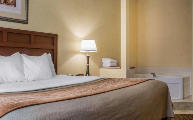 Comfort Inn & Suites Farmington - Victor
