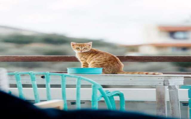 Easy Going Apartment Heraklion
