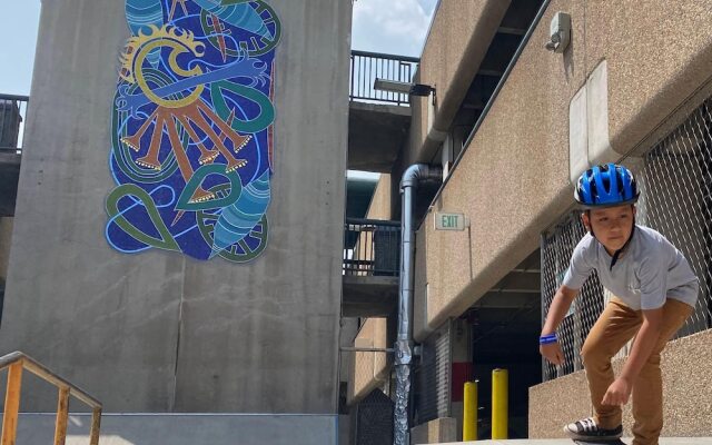 #208 Vail International