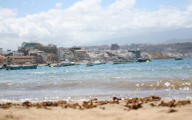 Aloysia by Coleus Apartments