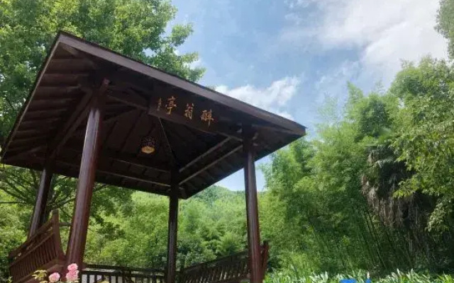 Tonglu Lingyuan Drunken Court Homestay
