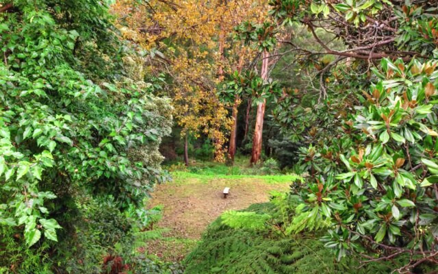 Wildwood Lodge