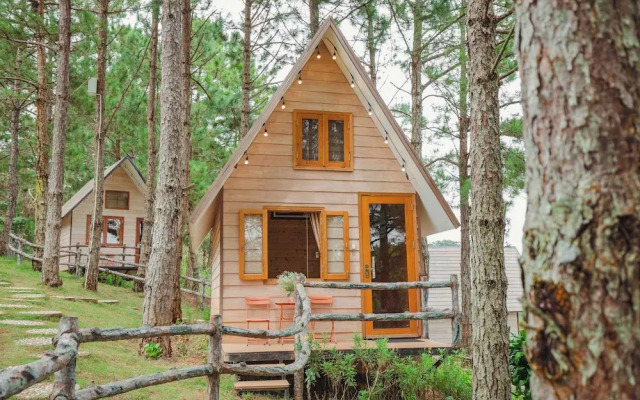 Kim Resort - Khu Nghĩ Dưỡng Rừng Lá Kim