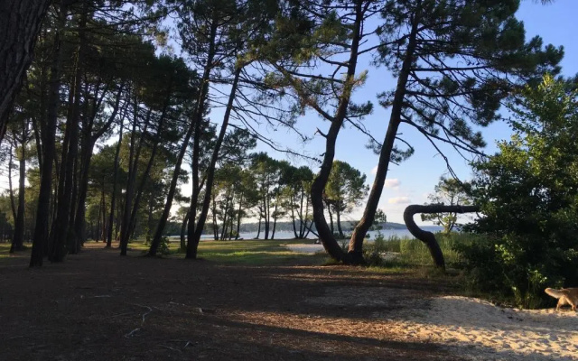 Le Domaine de Gascogne - appartement 2 pièces 4/5 personnes