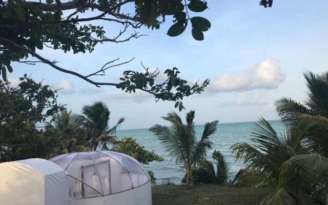 Eco Hotel Jadan Chechen