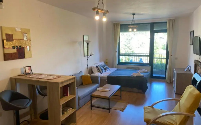 Cosy studios with mountain view near Bansko