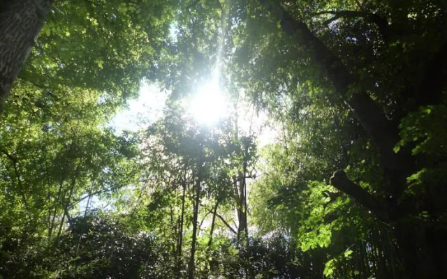 Chambres dHôtes Moulin de Masvicomteaux