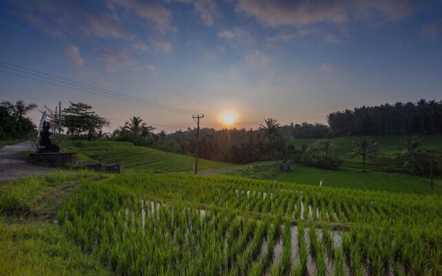 Bali Green Retreat