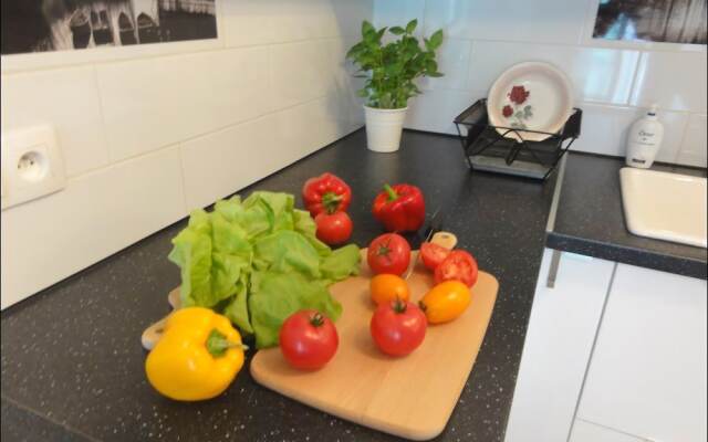 P&O Apartments Praga