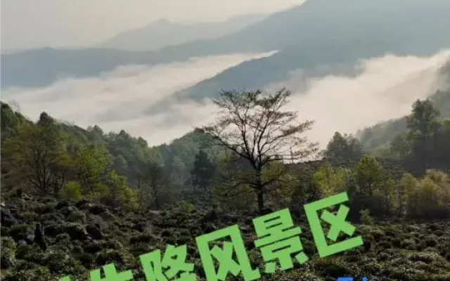 Shitai Qingfeng · Terrace View Homestay (Guniujiang Scenic Area)