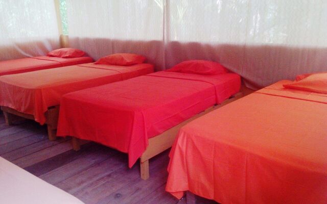 Amazon Eco Tours & Lodge
