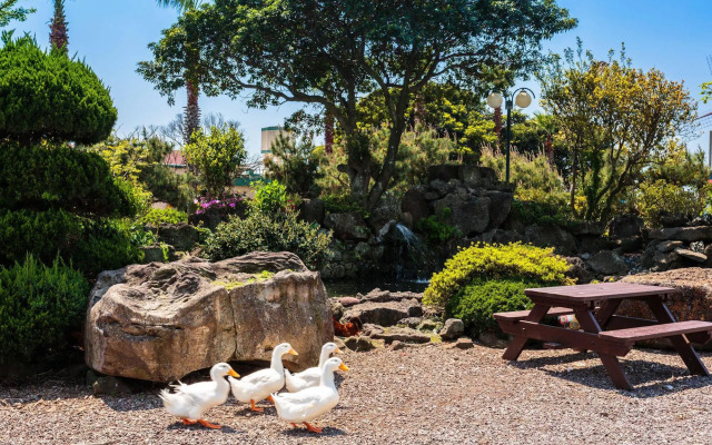 Jeju Olleh Windmill Pension and Guesthouse