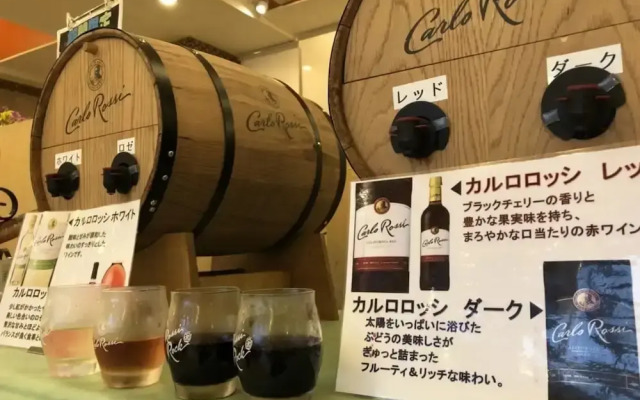 Hotel & Spa Resort LA VISTA Izusan