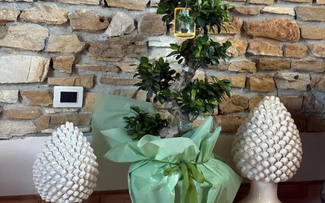 Selinunthia country house